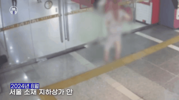 [유튜브 서울경찰]