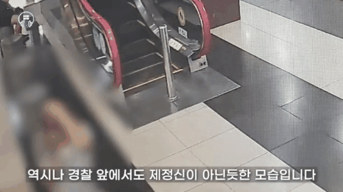 [유튜브 서울경찰]