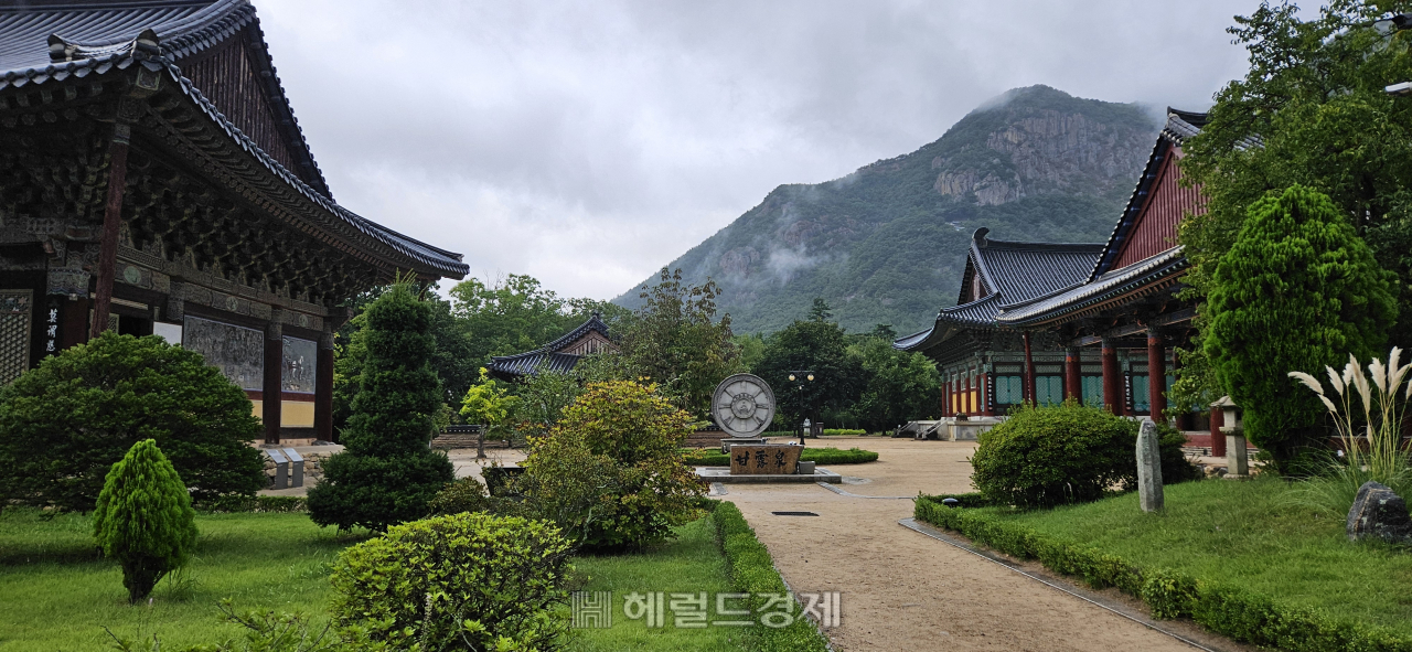 호랑이 품 안에 있는 사찰…‘화랑정신 발원지’ 청도 운문사 [정용식의 내 마음대로 사찰여행 비경 100선]