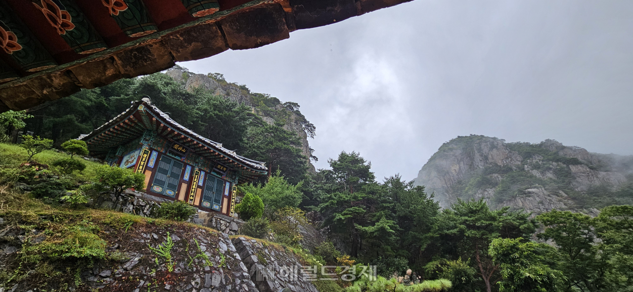 호랑이 품 안에 있는 사찰…‘화랑정신 발원지’ 청도 운문사 [정용식의 내 마음대로 사찰여행 비경 100선]