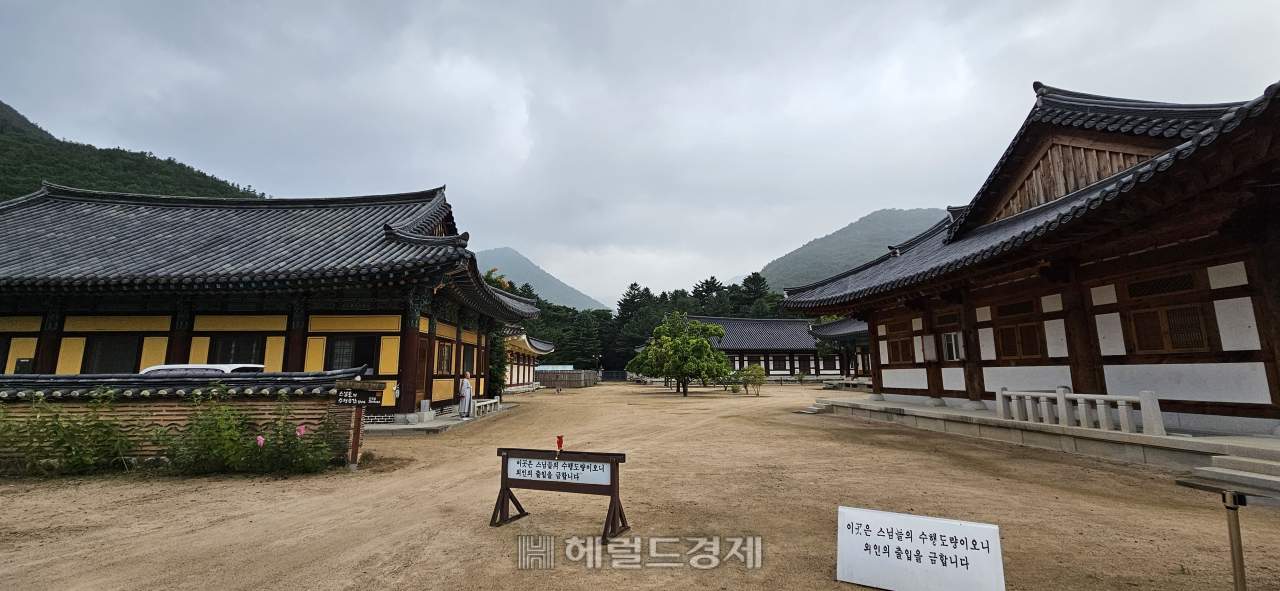 호랑이 품 안에 있는 사찰…‘화랑정신 발원지’ 청도 운문사 [정용식의 내 마음대로 사찰여행 비경 100선]