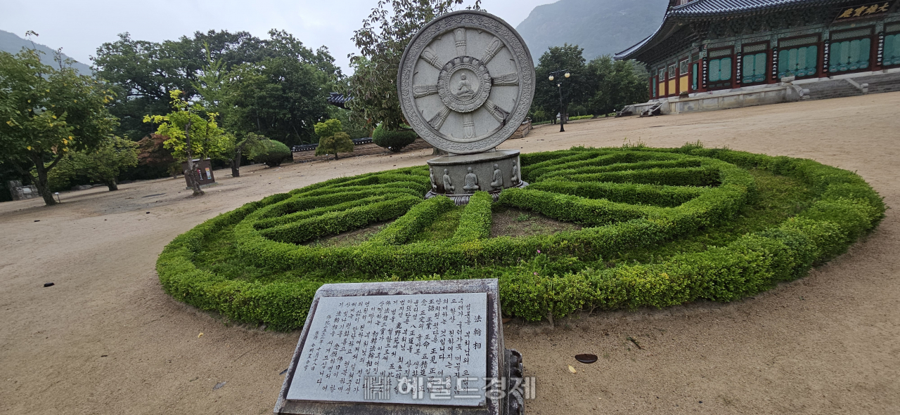 호랑이 품 안에 있는 사찰…‘화랑정신 발원지’ 청도 운문사 [정용식의 내 마음대로 사찰여행 비경 100선]