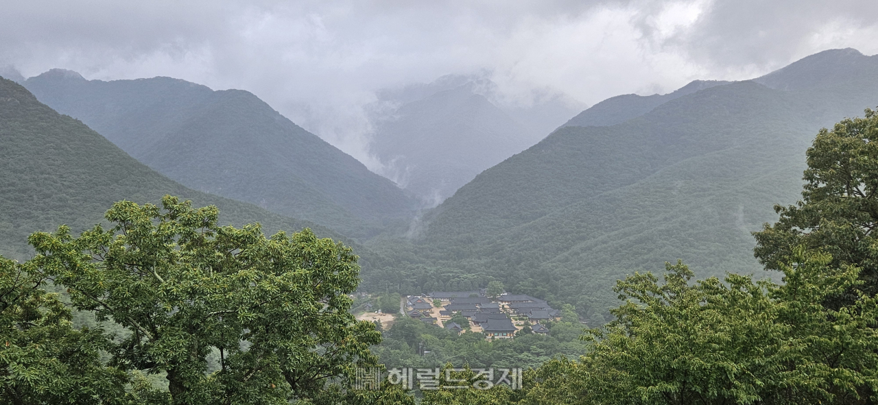 호랑이 품 안에 있는 사찰…‘화랑정신 발원지’ 청도 운문사 [정용식의 내 마음대로 사찰여행 비경 100선]