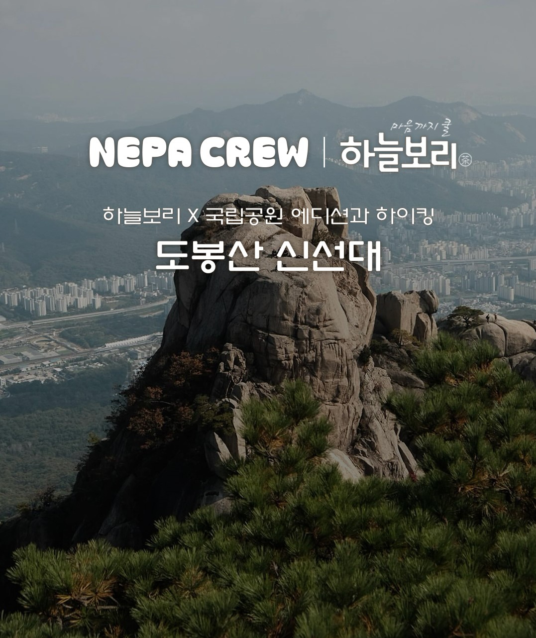 [웅진식품 제공]