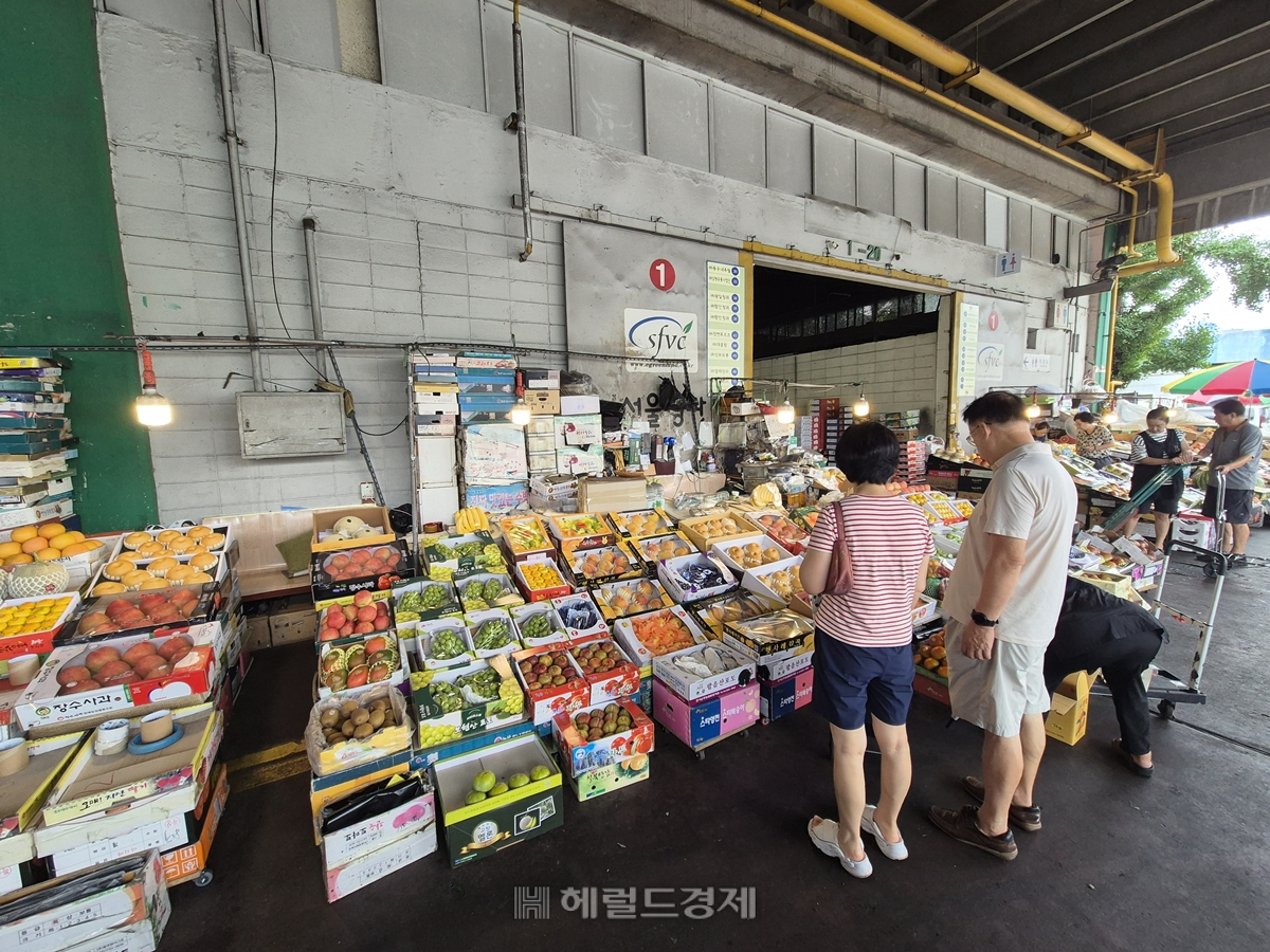 13일 오전 서울 가락동 청과물시장. 명절을 앞둔 이 시기면 보통 사람들로 가득 찼는데, 올해는 유난히 한산하다고 상인들은 말했다. [김도윤 기자]