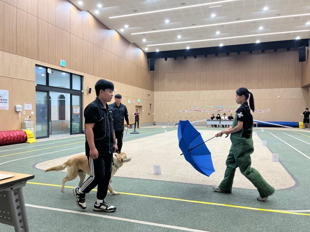 지난 26일 대전동물보호사업소가 반려동물공원에서 진행한 기질평가 사전 모의시연 모습.