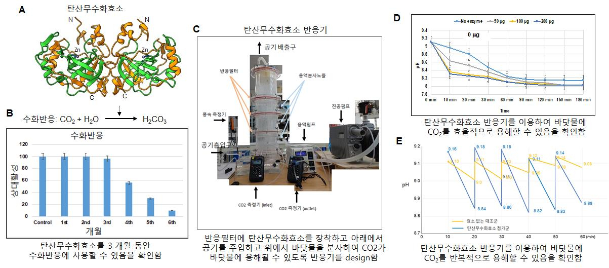 이번 연구성과 모식도. [POSTECH 제공]