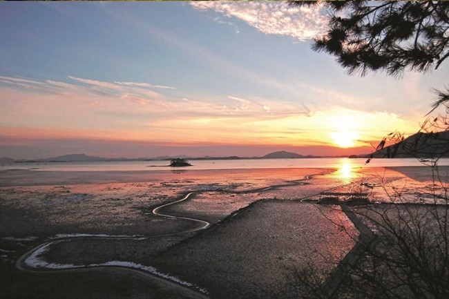 순천만 갯벌.