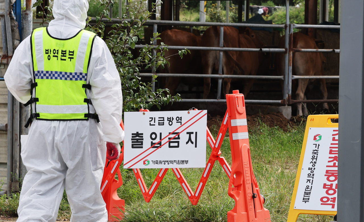 지난달 19일 럼피스킨이 발생한 경기도 여주시 한우농가에서 관계자들이 출입을 통제하고 있다. [연합]