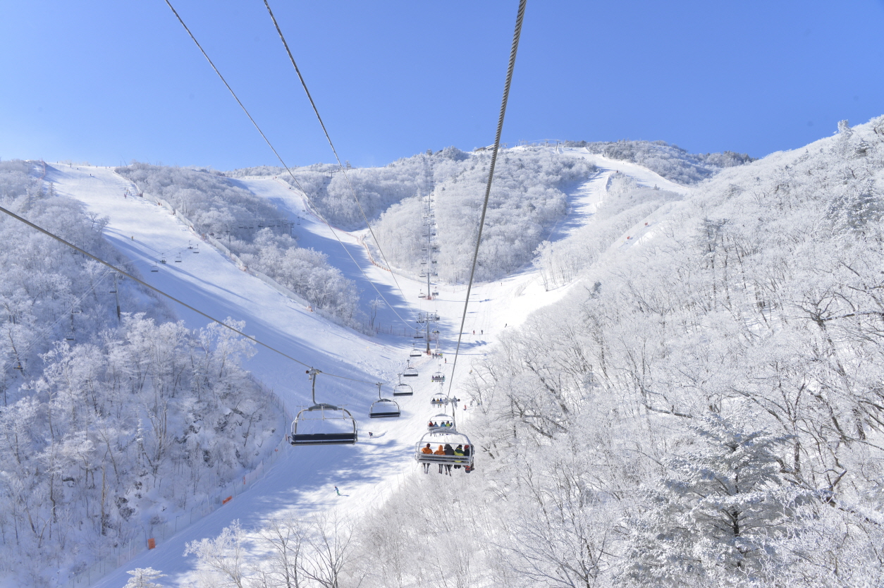 부영그룹 무주덕유산리조트 스키장 전경[사진=부영그룹 제공]