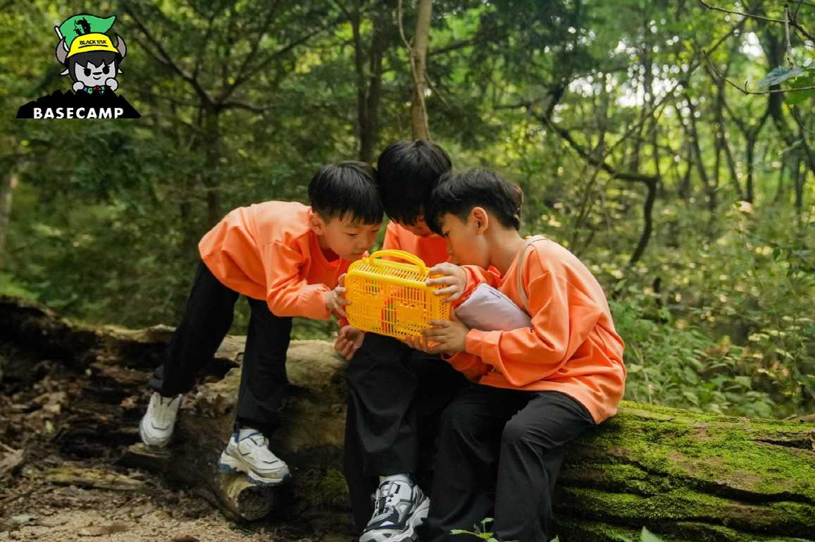 블랙야크 키즈가 서울 도심에서 숲을 탐험할 수 있는 ‘키즈 베이스캠프 아카데미’ 참가자를 모집한다. [블랙야크 키즈 제공]