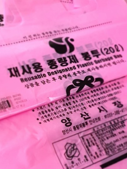 [양산일보 홈페이지 캡처]