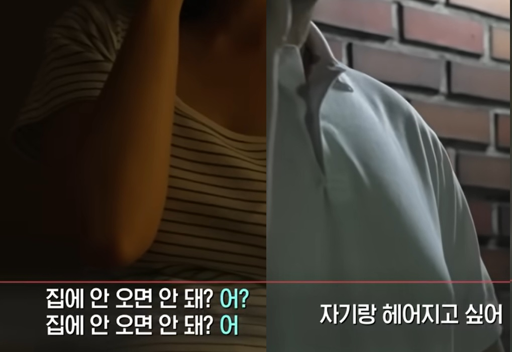 [SBS '궁금한 이야기Y']