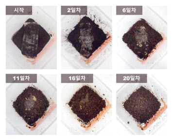 20일 만에 분해되는 생분해 필름 [KAIST 제공]