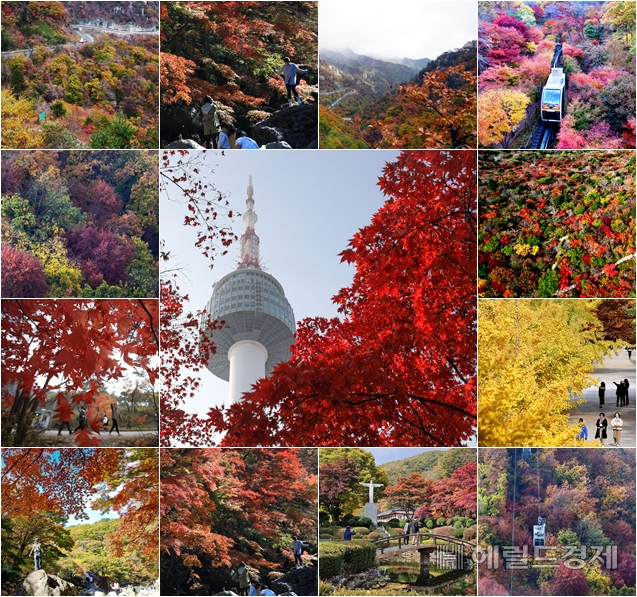 울긋불긋 단풍으로 물든 전국의 단풍 명소의 모습. 올해 가을 우리나라 주요 산림의 단풍은 10월 말에 절정을 이룰 것으로 보인다. [뉴시스]