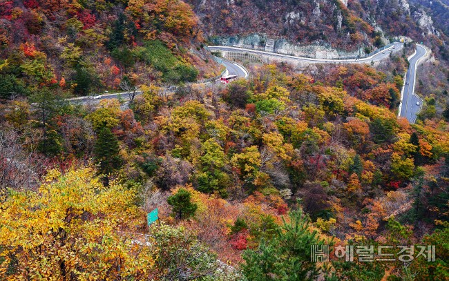 알록달록 단풍으로 물든 강원도 인제시 설악산. [헤럴드DB]