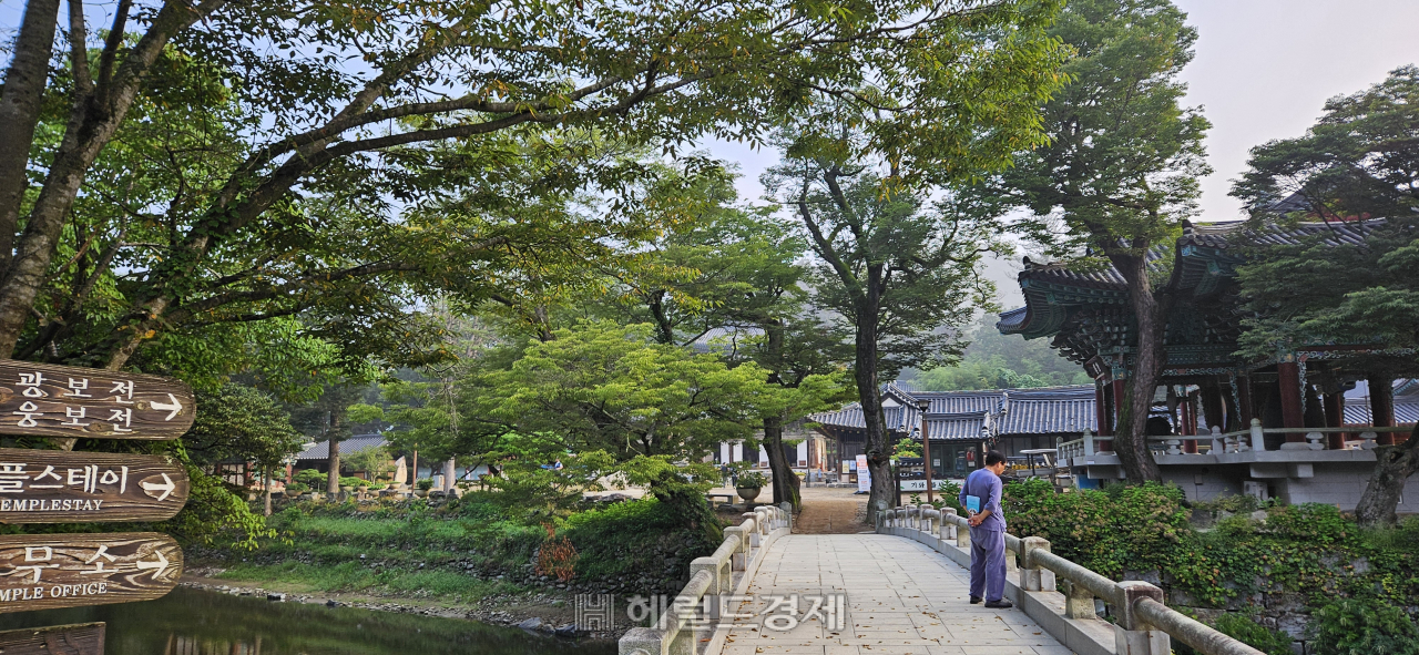 김시습·백범 김구 머무른 은둔 사찰…세계문화유산 공주 마곡사 [정용식의 내 마음대로 사찰여행 비경 100선]