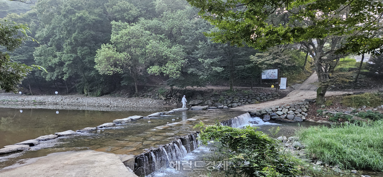 김시습·백범 김구 머무른 은둔 사찰…세계문화유산 공주 마곡사 [정용식의 내 마음대로 사찰여행 비경 100선]