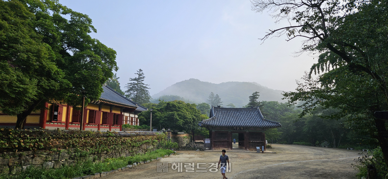 김시습·백범 김구 머무른 은둔 사찰…세계문화유산 공주 마곡사 [정용식의 내 마음대로 사찰여행 비경 100선]