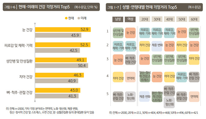KB금융지주 KB경영연구소 ‘2024 한국 웰니스 보고서’ 발췌.