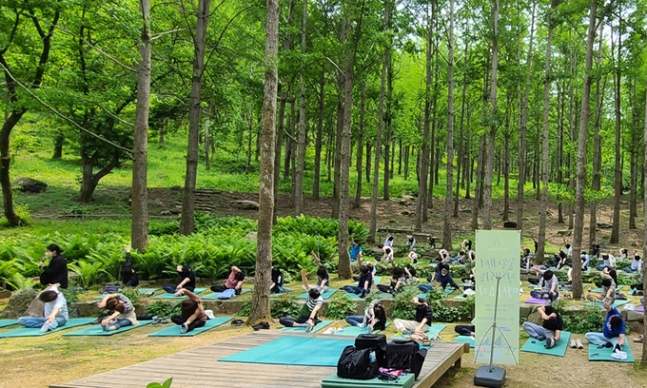 삼성물산 리조트부문이 운영하는 에버랜드의 프라이빗 숲 ‘포레스트 캠프’. [삼성물산 제공]