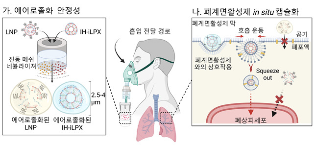 흡입 최적화 지질 나노 복합체의 mRNA 흡입 전달 전략 모식도.[KAIST 제공]