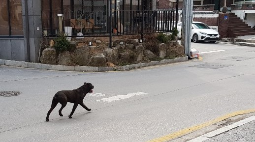 [뉴시스]