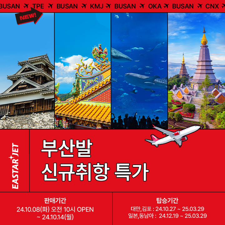 이스타항공 제공