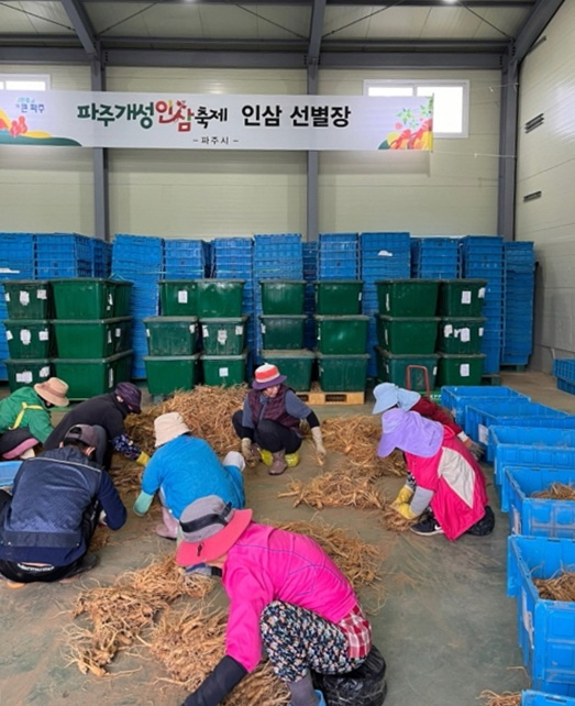 김경일 파주시장 “파주시가 보증하는 최상 품질의 6년근 인삼”