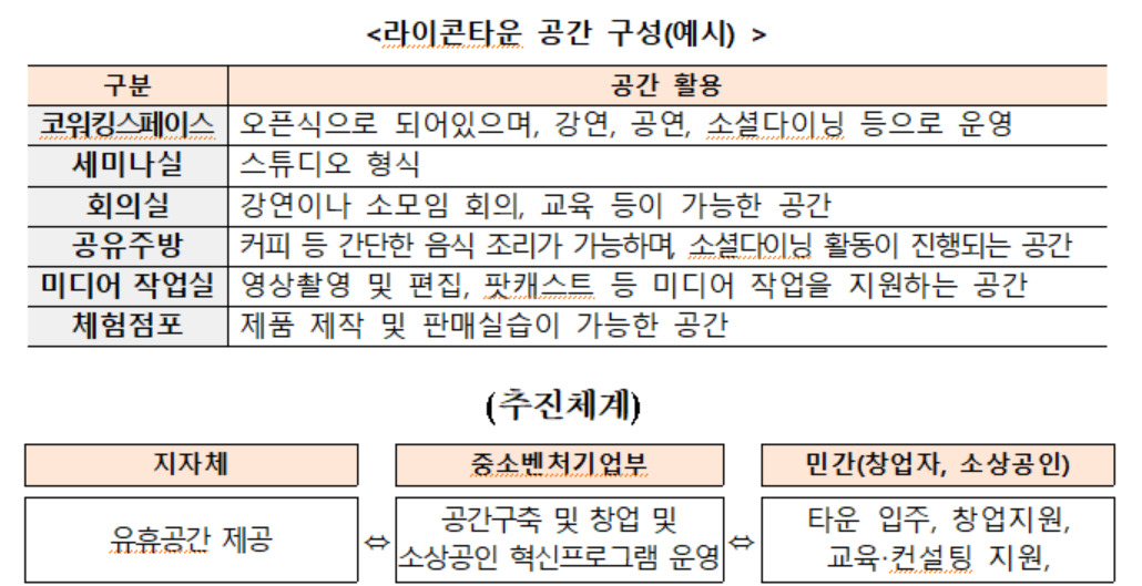라이콘타운 공간구성과 추진체계.