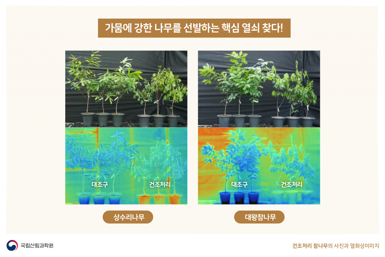 참나무류의 건조 저항성을 평가할 수 있는 환경스트레스 요인 분석.
