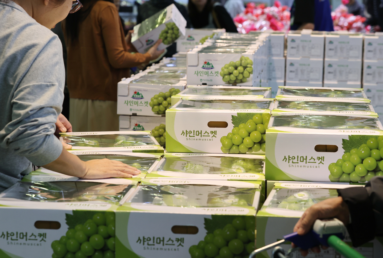 서울의 한 대형마트를 찾은 시민이 샤인머스캣을 고르고 있다. [연합]