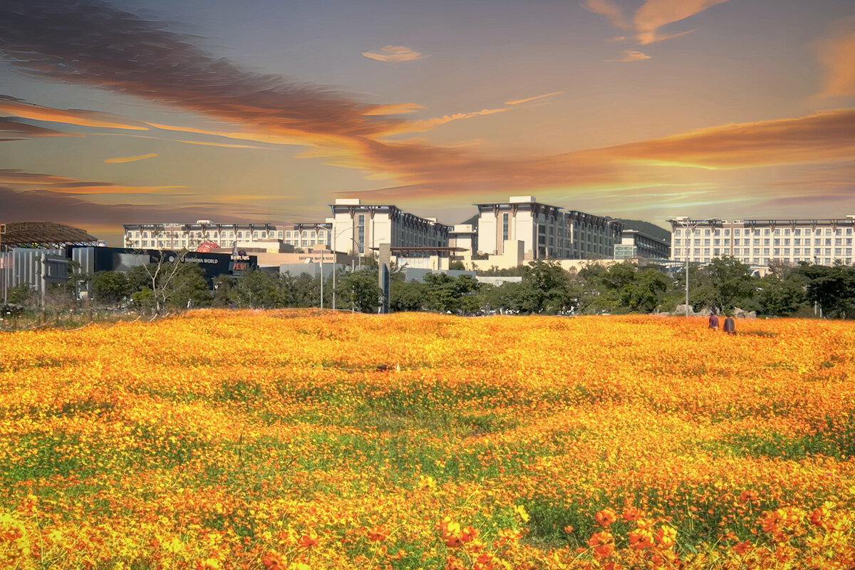 호텔 추구미..단풍놀이에 줌바·먹방·북 호캉스..심신 키우는 천고인비의 계절답게[함영훈의 멋·맛·쉼]