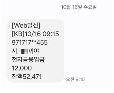 A씨가 공개한 입금 내역. [보배드림]