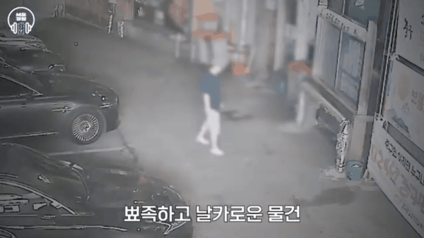 [유튜브 '서울경찰']