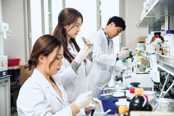 한국식품연구원 연구진이 실험을 진행하고 있는 모습 [헤럴드 DB]