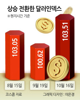 예상밖 强달러...흔들리는 동학개미 [이슈&뷰]