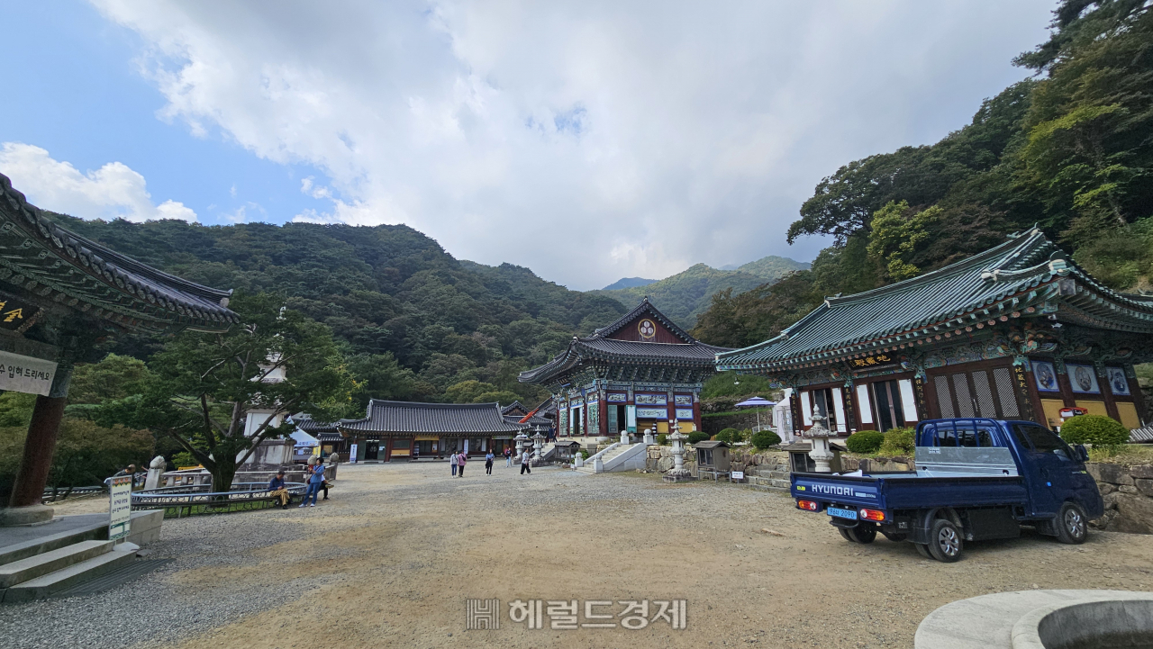 40m 넘는 은행나무, 천년을 지켜온…‘왕의 절’ 양평 용문사 [정용식의 내 마음대로 사찰여행 비경 100선]