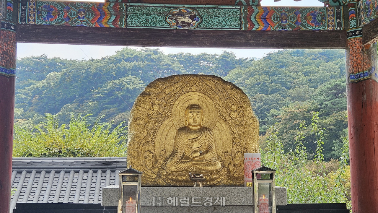 40m 넘는 은행나무, 천년을 지켜온…‘왕의 절’ 양평 용문사 [정용식의 내 마음대로 사찰여행 비경 100선]