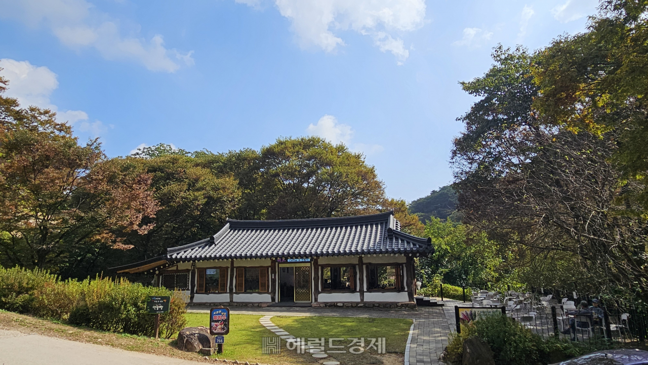 40m 넘는 은행나무, 천년을 지켜온…‘왕의 절’ 양평 용문사 [정용식의 내 마음대로 사찰여행 비경 100선]