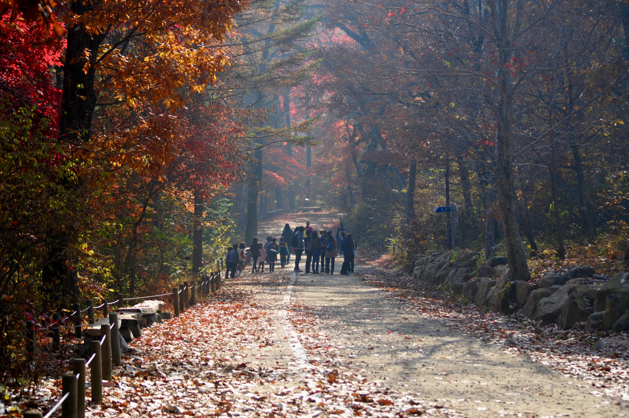국립수목원 제공