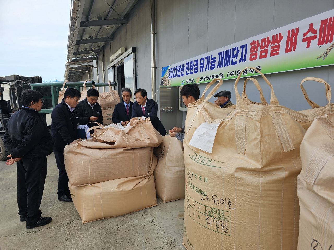 기능성 쌀 수매 현장