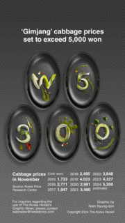 [Graphic News] ‘Gimjang’ cabbage prices set to exceed 5,000 won