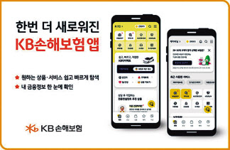 “앱 통합·세금 정보 제공” 고객편의성 혁신 주도 [시장혁신대상-KB손해보험]