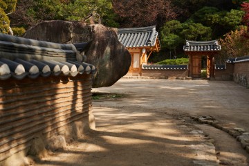 Medongaule: Garden of all gardens