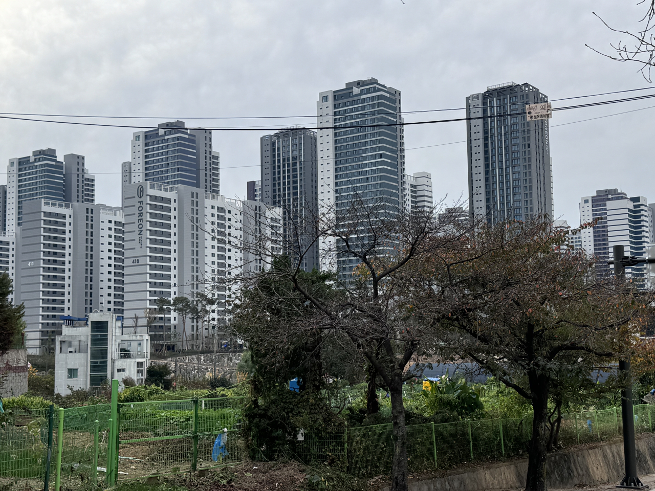 [르포] 그린벨트 풀리면 대박! 부푼 꿈…기획부동산까지 몰려들었다 [부동산360]