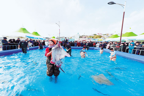 죽변항 수산물축제 중 활어 맨손잡기