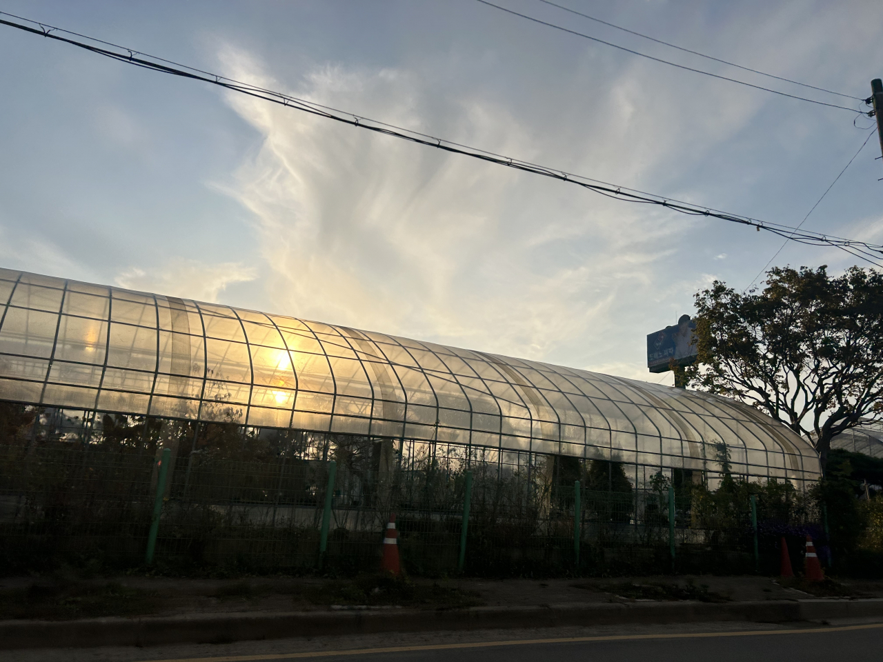 [르포] “여름부터 개발 소문 돌았다” 비닐하우스의 이동네 강남 아파트로 천지개벽  [부동산360]