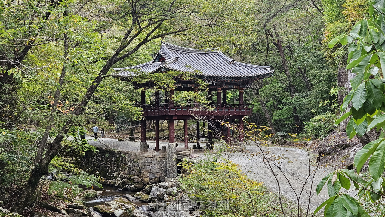 사계절 아름다운 유네스코 ‘산지승원’…태고종 총림 선암사 [정용식의 내 마음대로 사찰여행 비경 100선]