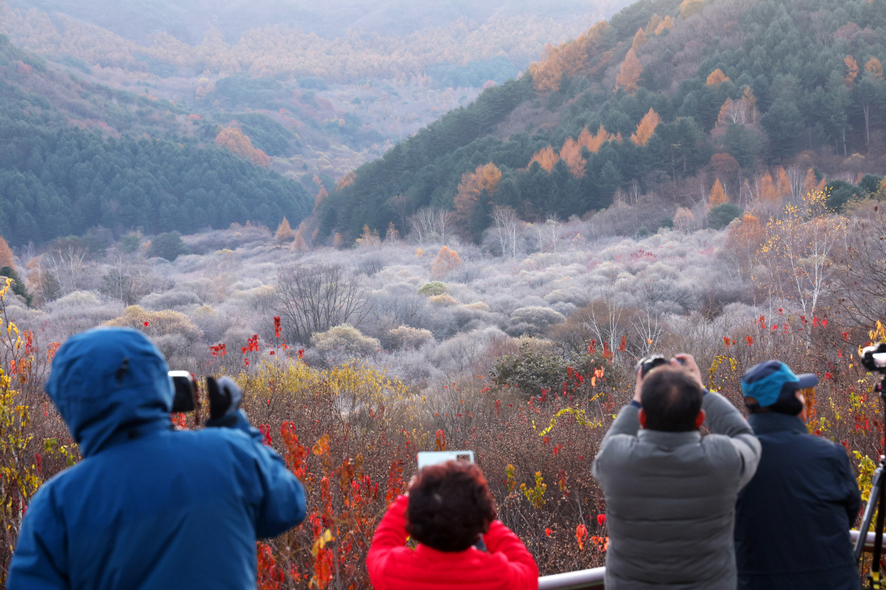 전국 곳곳에 추위가 찾아온 6일 오전 강원 인제군 남면 갑둔리 일명 ‘비밀의 정원’에서 시민들이 서리 비경을 찍고 있다. [연합]
